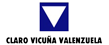 Claro Vicuña Valenzuela