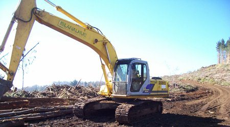 Excavadora manipulando trozos de madera